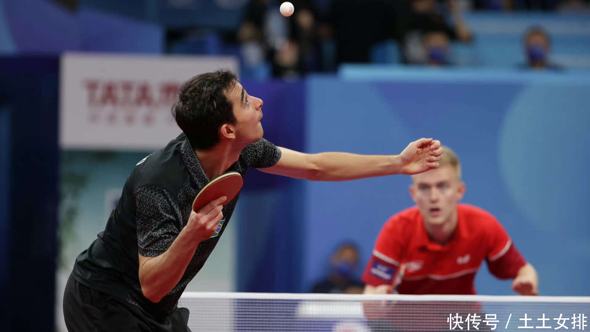 的案例告诉 的案例告诉